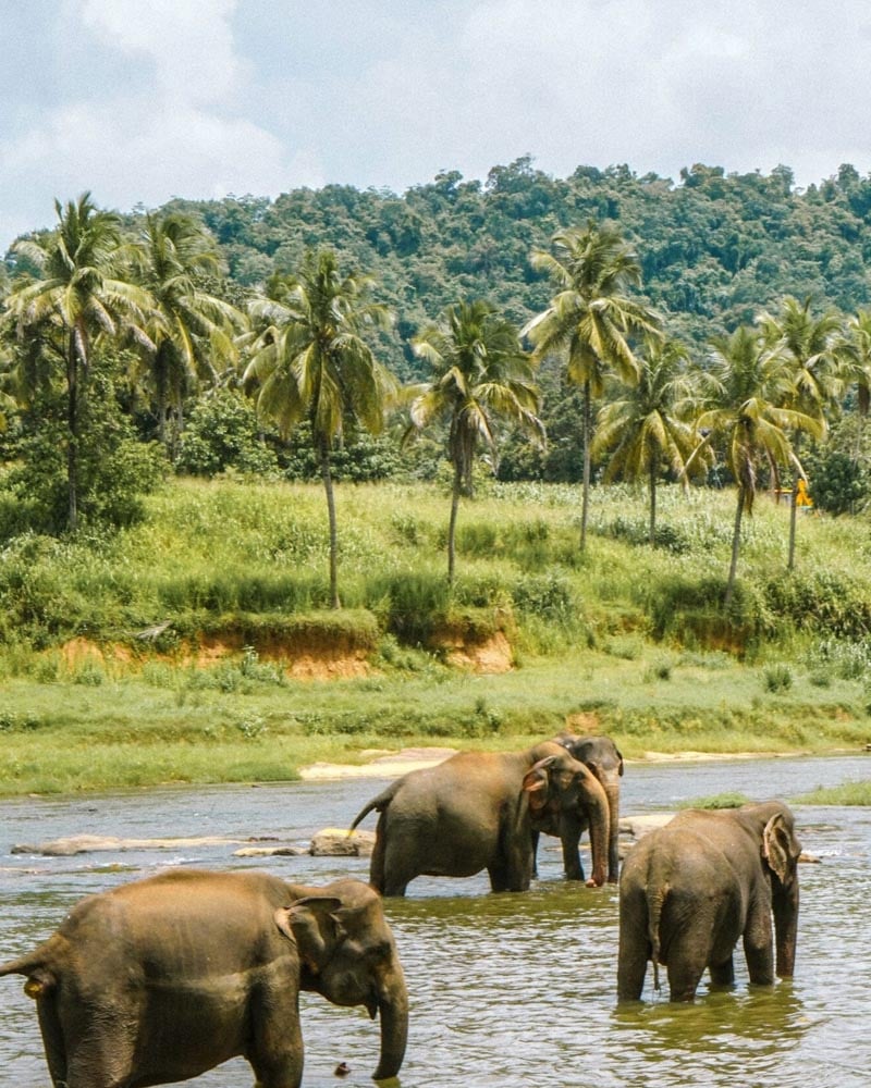 thailand-1